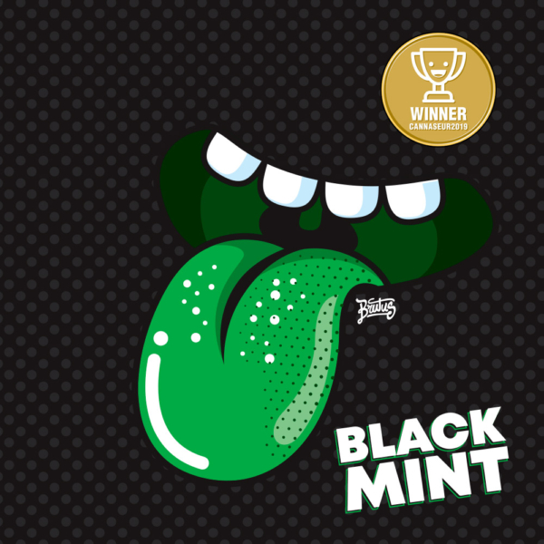 Black Mint