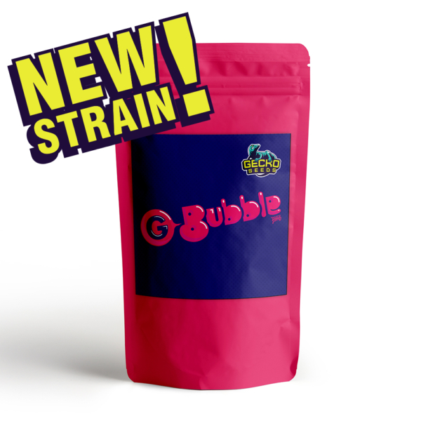 G Bubble - immagine 2