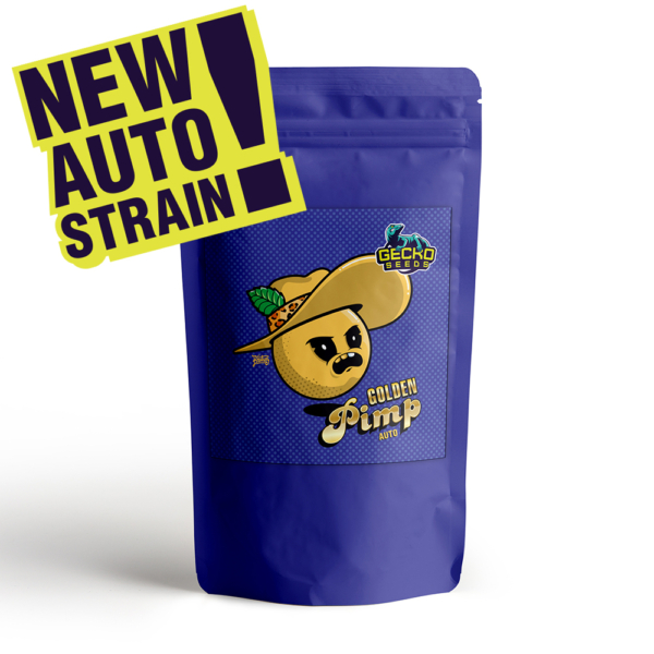 Golden Pimp - Imagen 2